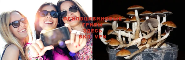 mdpv Верхний Тагил